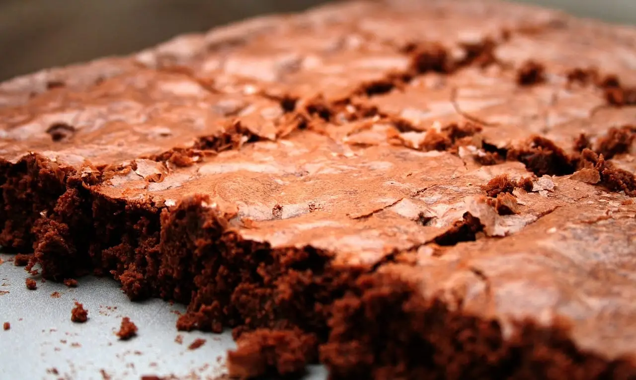 Nut Brownies